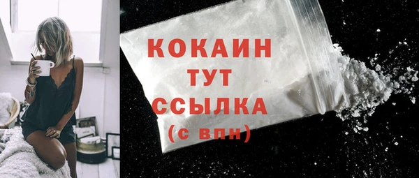 прущие грибы Аша