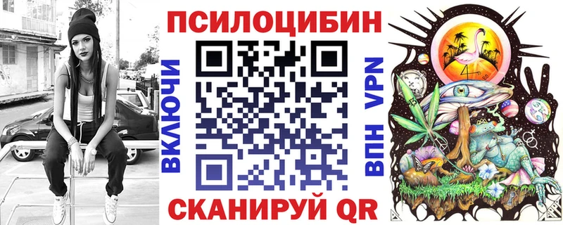 дарнет шоп  Буй  Галлюциногенные грибы Cubensis 