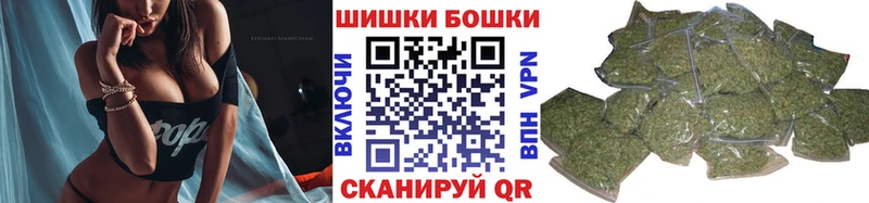 продажа наркотиков  Буй  Конопля сатива 